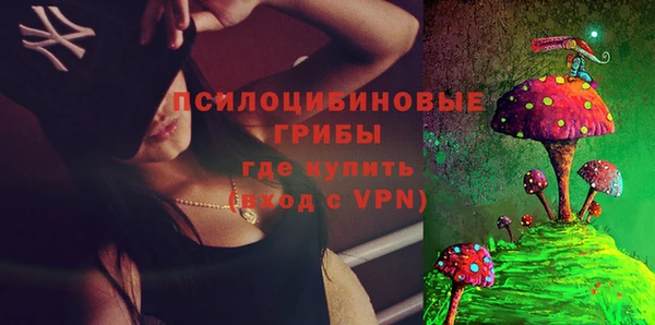 стафф Аркадак