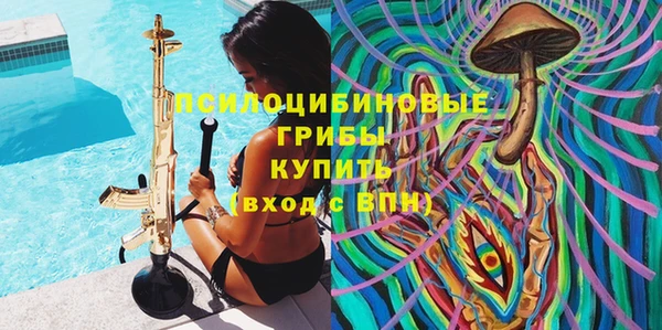 стафф Аркадак
