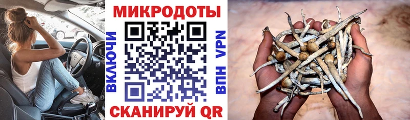 Купить закладки  Томмот  Псилоцибиновые грибы Magic Shrooms 